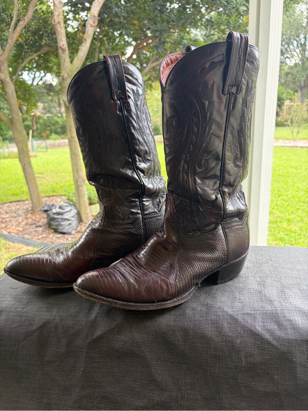 Dan Post Men’s Winston Exotic Lizard Western Boots Size 10 EW